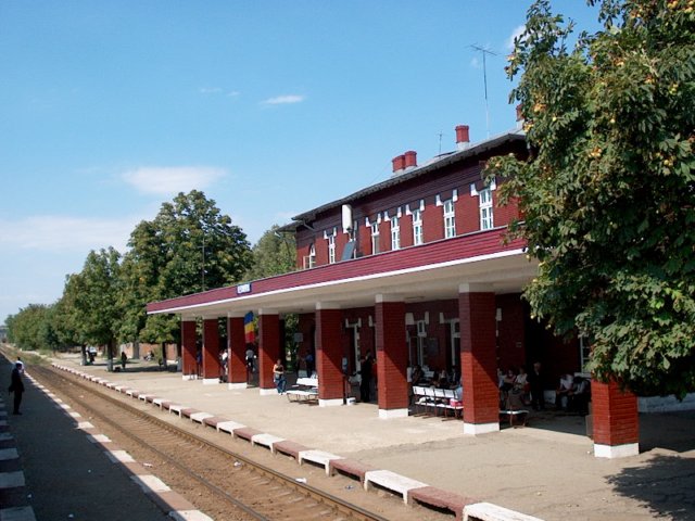 Photograph